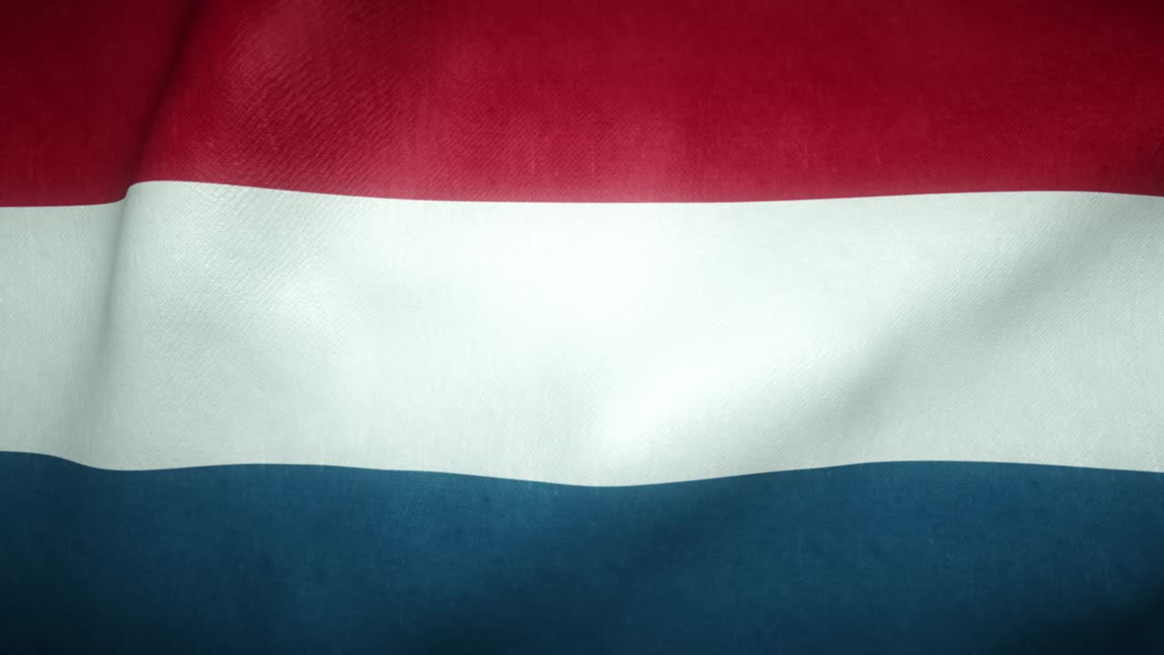 바람에 흔들리는 네덜란드의 발