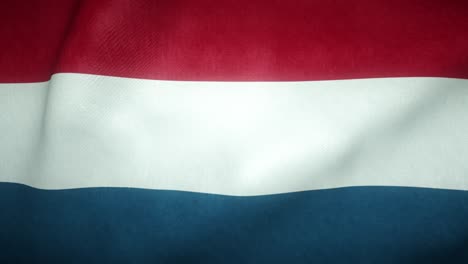 flag of the netherlands waving in the wind