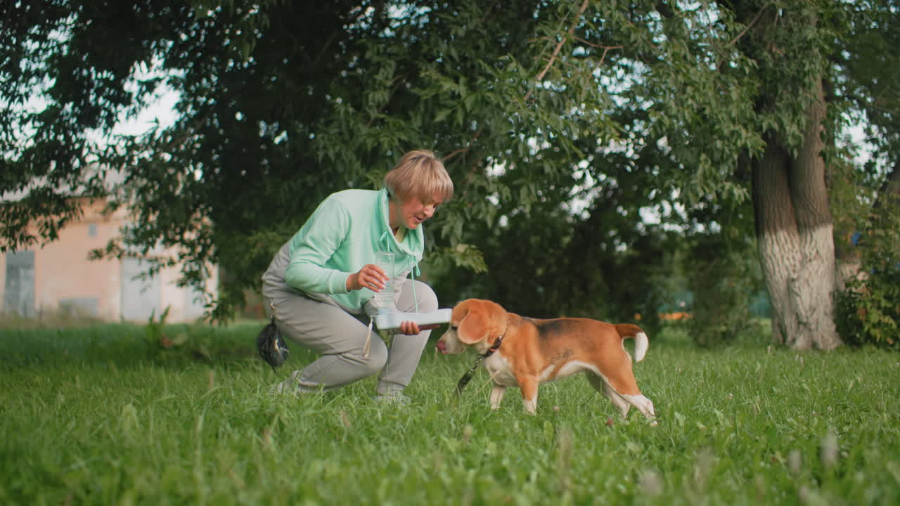 Trainer carefully teaches beagle how to feed from plate using portable water container outdoors on green grass under trees during sunny day patient training moment promoting healthy habits