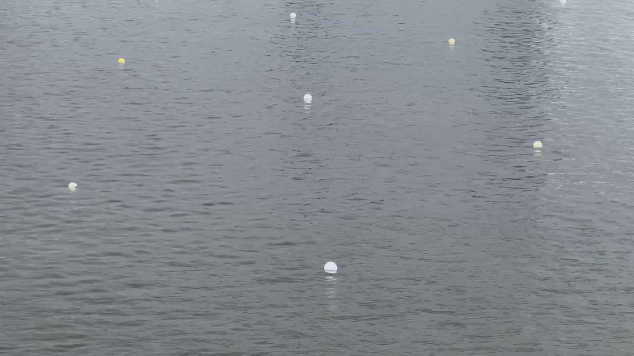 Calm grey lake water at a Brandenburg canoe sprint course, with floating lane buoys, subtle ripples and minimal watersports venue markers on an overcast day.