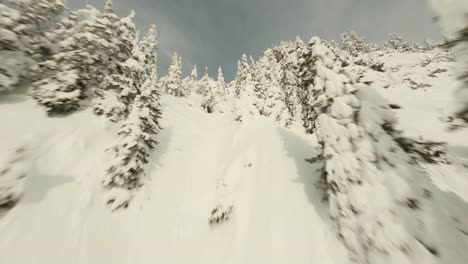 Dron-Volando-A-Través-De-árboles-Nevados,-Hasta-La-Cima-De-La-Montaña,-Invierno