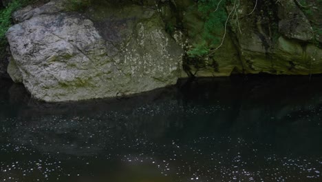 Calm-water-flows-by-stones-at-Wissahickon-Creek