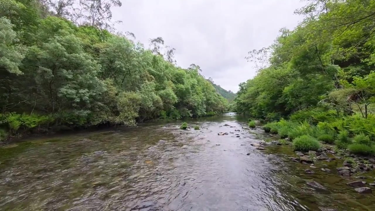 Acque cristalline del fiume circondate da verde vegetazione atlantica a Fragas do Eume, Spagna