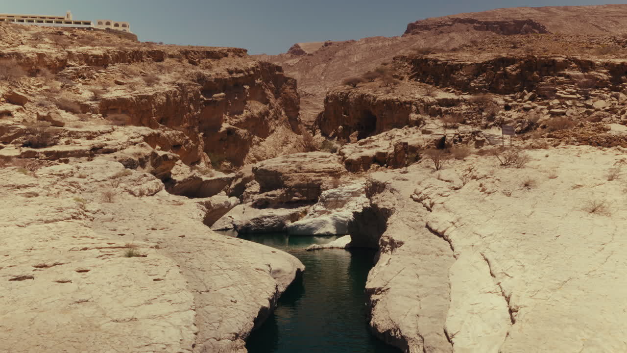 Oasi in un wadi in Oman