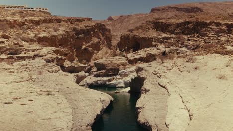 oasis in a wadi in oman