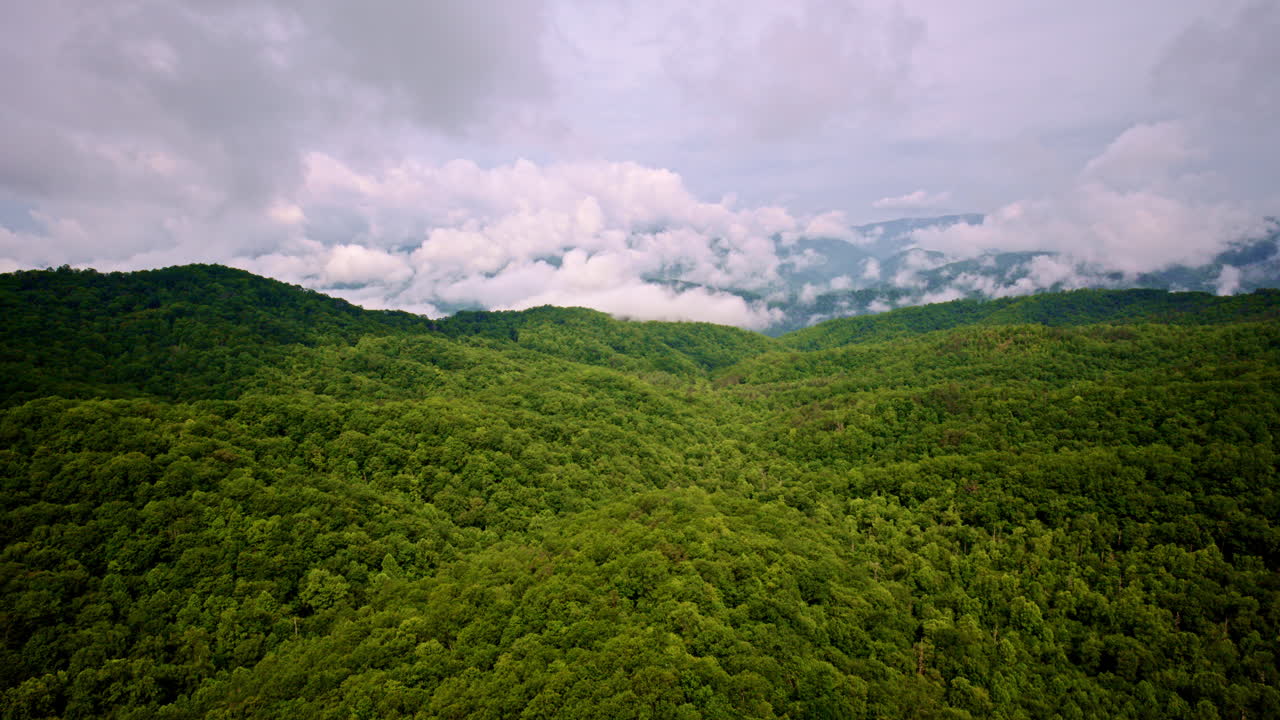 Rising above the mist of the Great Smoky Mountains.