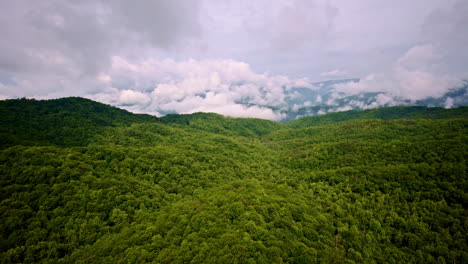 rising above the mist of the great smoky mountains.
