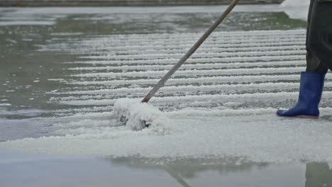 worker harvesting salt in a salt pan
