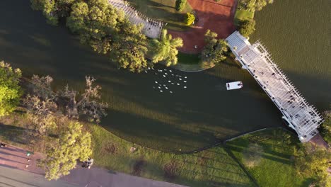 Top-down-view-over-Palermo-lakes-in-Buenos-Aires-city-with-white-boat-and-ducks-following