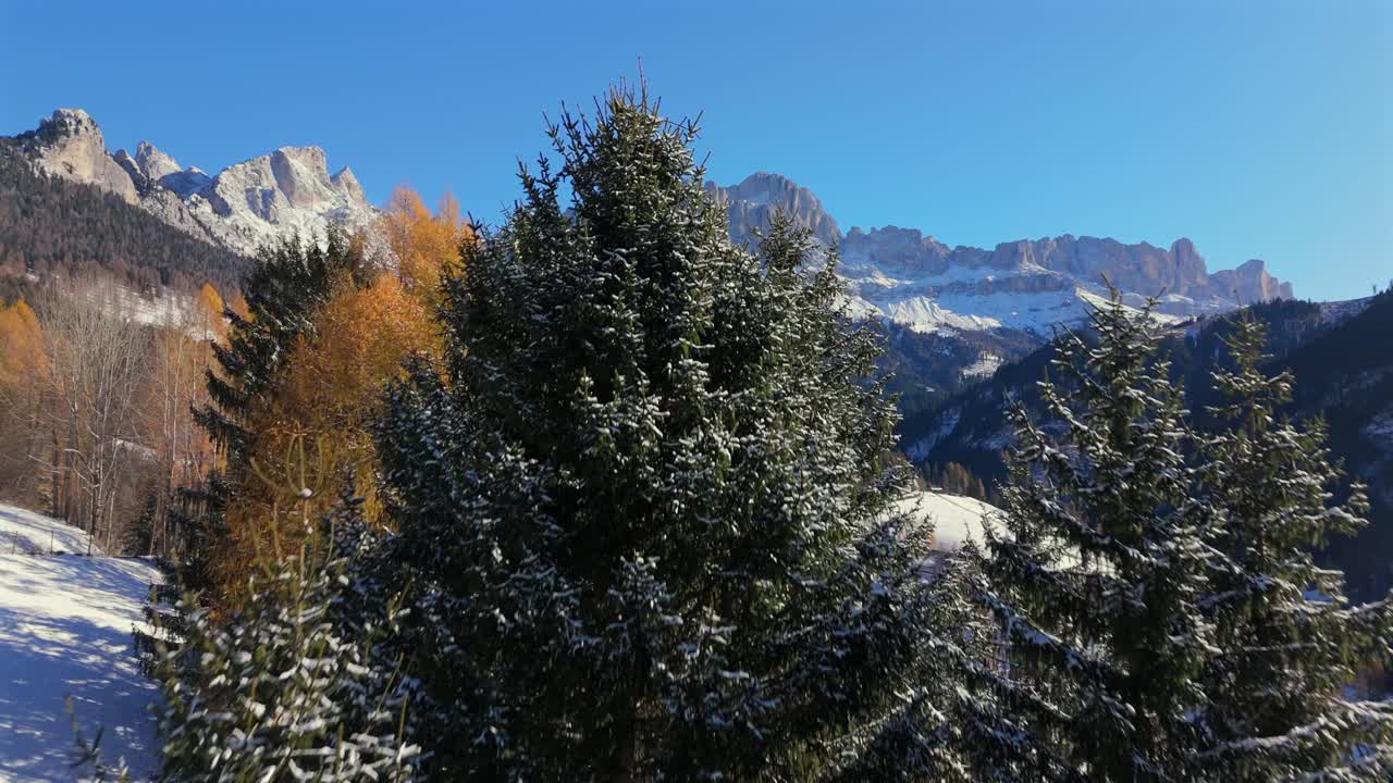 Cinematic drone shot rising above a snowy forest revealing the Rosengarten Catinaccio mountains near Tiers Tires in South Tyrol Alto Adige Italy with colorful trees and bright winter light. Near Bozen