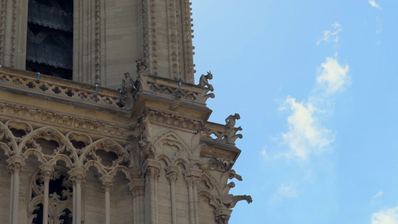 Gargoyle e chimere in pietra che adornano l'architettura gotica della cattedrale di Notre Dame a Parigi, Francia, sotto un cielo sereno