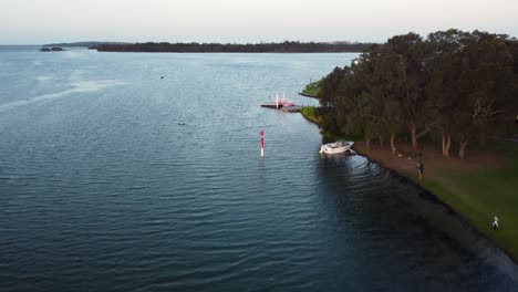 pájaro pelícano volando con pan del lago el canal de entrada con ciudad con parque costa central nsw australia 3840x2160 4k