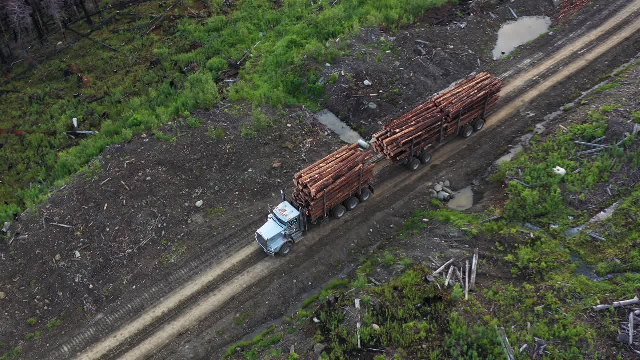 Il drone riprende un camion per il trasporto di legname che trasporta tronchi dalla foresta in Columbia Britannica