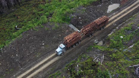 Un-Dron-Captura-Un-Camión-Maderero-Que-Transportaba-Madera-De-Un-Bosque-En-Columbia-Británica