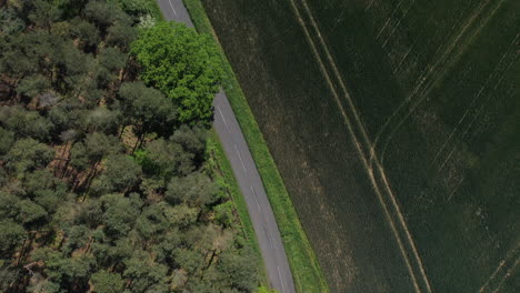 Toma-Aérea-Siguiendo-Un-Camino-A-Través-De-Los-árboles