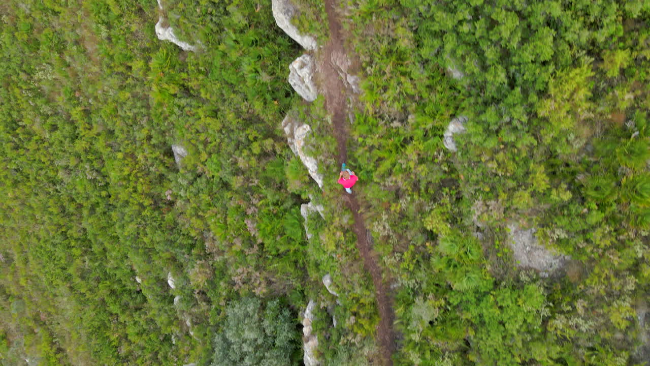 excursionista masculino caucásico caminando entre la vegetación en el camino de la montaña