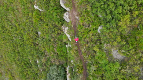 caucasian male hiker walking among the vegetation on the mountain path