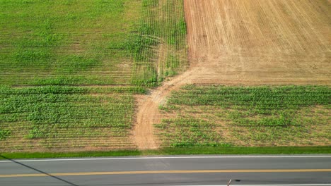 Aerial-drone-view-of-agriculture-farmland-during-sunset-with-passing-cars