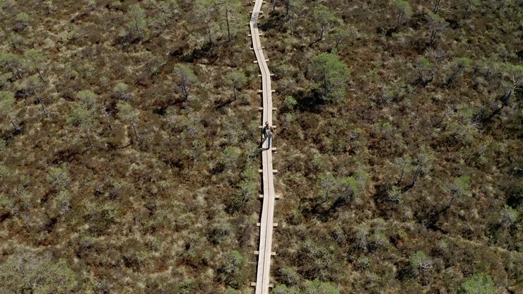 Backpacker hiking on a marsh peat bog trail on a sunny summer day