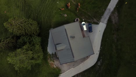 Top-down-shot-of-a-house-on-a-green-field-surrounded-by-cows-and-green-trees-in-the-Alps-in-Lofer,-Austria