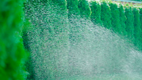 a sprinkler is working in a park or garden