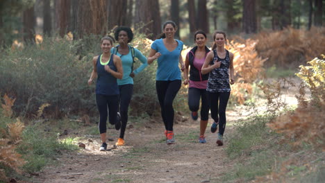 Group-of-young-adult-women-running-in-a-forest,-slow-motion