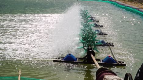 paddle wheel aerator on a shrimp farm at son hai, vietnam