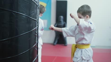 young martial artists in white gi and yellow belts practicing kudo techniques with focus and determination