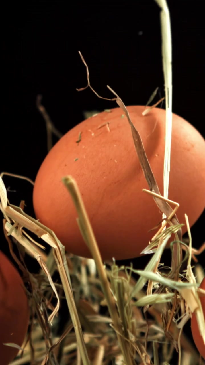 Close-Up of a Fresh Brown Egg in a Hay Nest