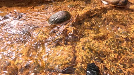 close-up of clear water streaming over stones