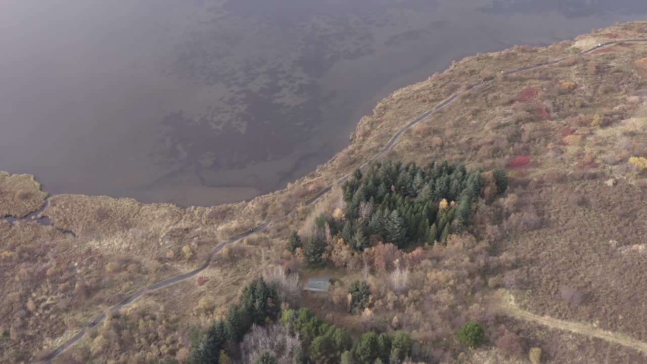 аэрофотосъемка на берегу безмятежного озера вифилсстадаватн в исландии