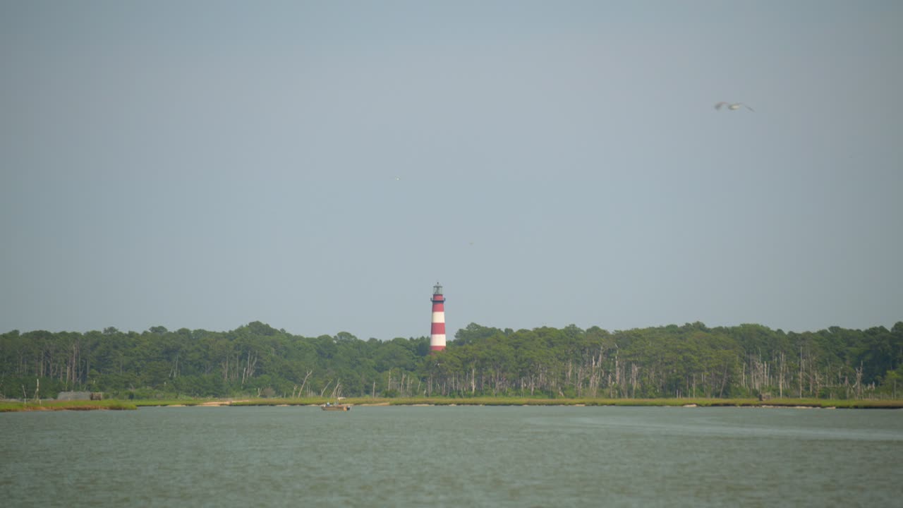 A bird flying in the daytime sunny sky with a light house in the background across the water.