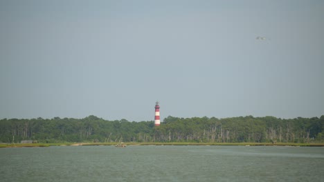 a bird flying in the daytime sunny sky with a light house in the background across the water.
