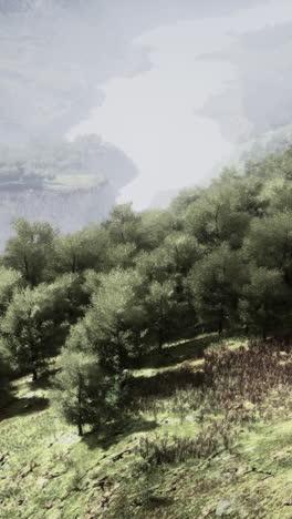 misty mountain valley landscape