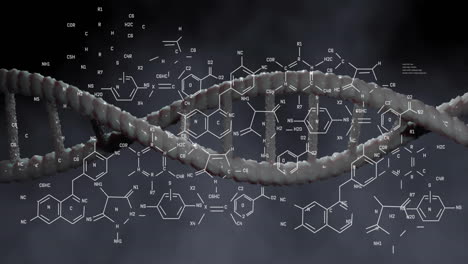 animation of chemical formula and dna strand on gray background