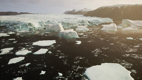 icebergs in arctic waters