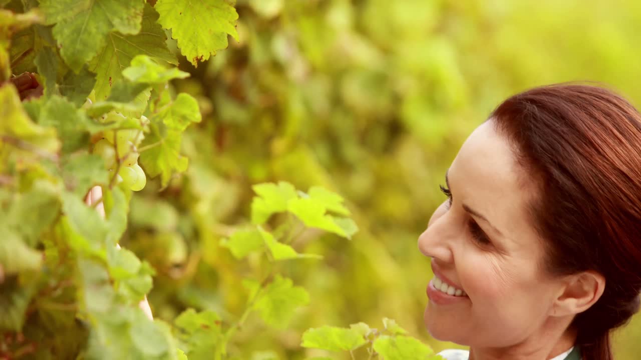 una viticultora chequeando las uvas verdes