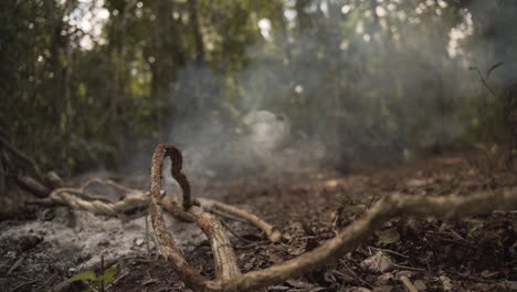 man riding a scooter passing on forest trail with smoke from burning twigs