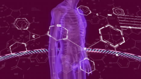 Animation-Chemischer-Strukturen-Und-DNA-Stränge-über-Der-Abbildung-Des-Menschlichen-Körpers