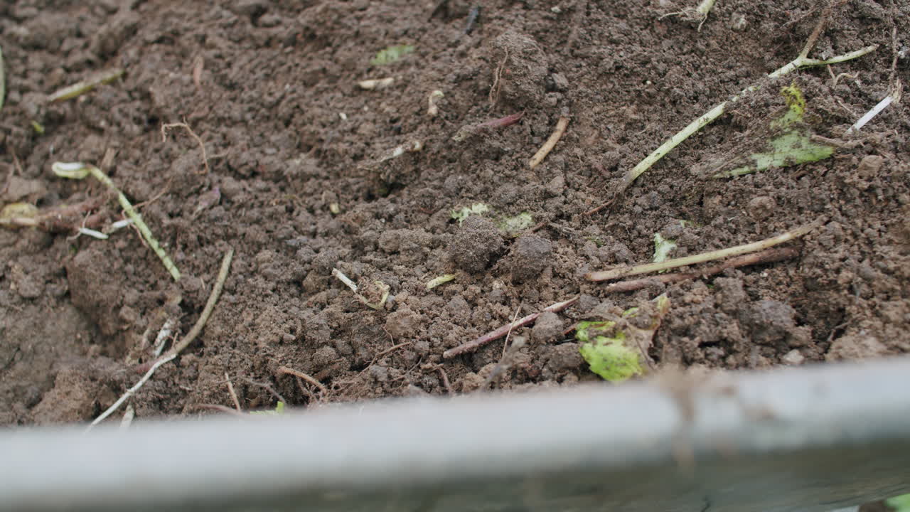 바구니의 뿌리로 가득 찬 땅을 바구니로 는 정적