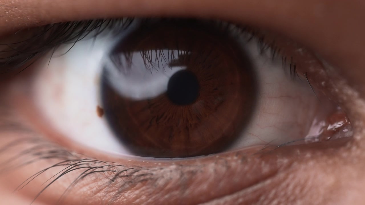 Close up of a brown eye opening and looking at the camera