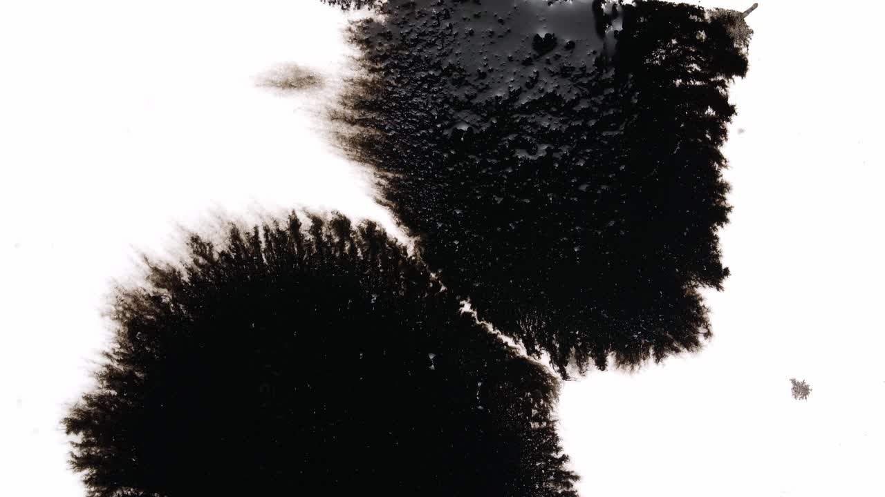 Black Ink Drops On White Background