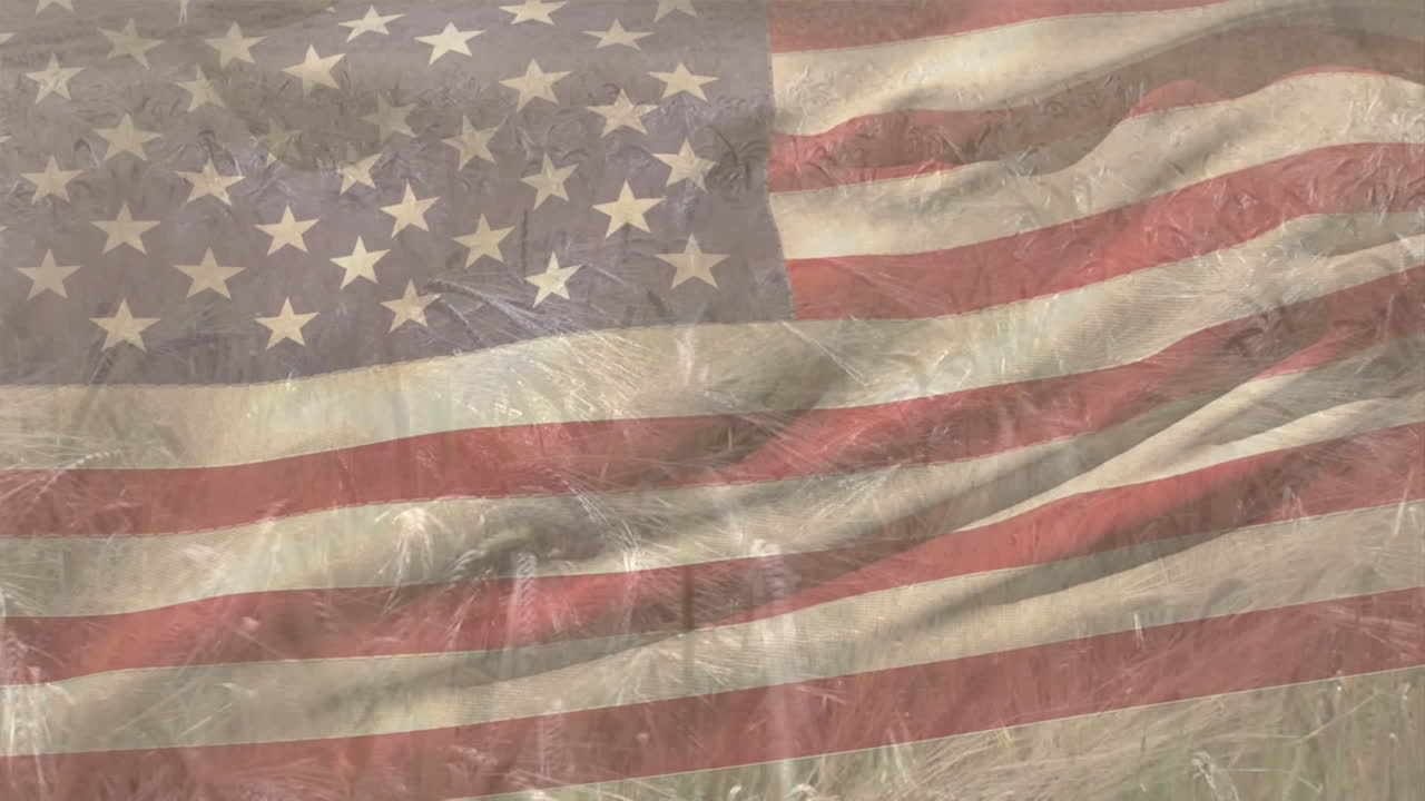 animación de la bandera estadounidense ondeando sobre un campo de trigo