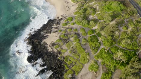 Olas-Rompiendo-En-Una-Hermosa-Playa-Dorada-De-Hawaii-En-Makapuu-Oahu