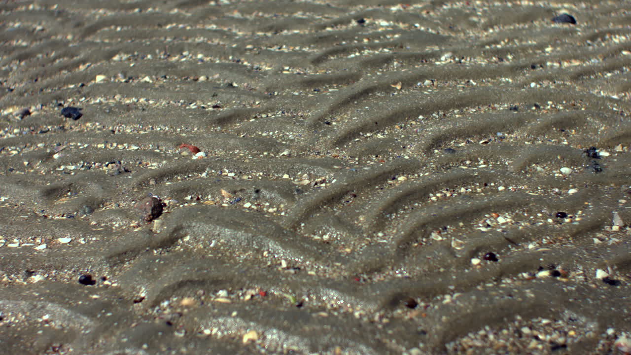 Close-up of natural ripples in wet sand on the Dutch coast at low tide. The macro shot captures fine tidal texture and grain patterns in a calm, untouched setting