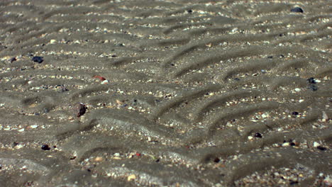 close-up of natural ripples in wet sand on the dutch coast at low tide. the macro shot captures fine tidal texture and grain patterns in a calm, untouched setting