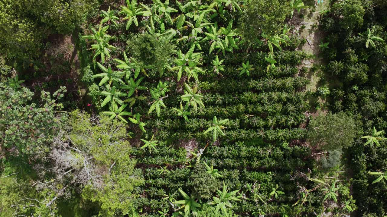 vista cenital en una finca