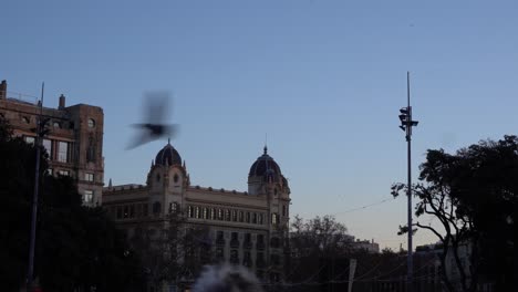 Katalonien-Platz-Und-Wunderschöne-Architektur-An-Einem-Klaren-Abend-In-Barcelona