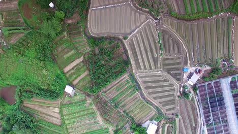 aerial rising and vertigo circling shot over cultivated farm fields, china