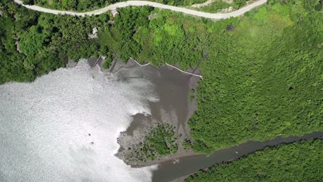 Vista-Aérea-De-&quot;ojo-De-Pájaro&quot;-De-Una-Costa-Con-Paisaje-Verde-En-Negros-Orientales,-Filipinas,-Y-Una-Desembocadura-Del-Río